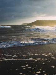 The generalapos;s yo